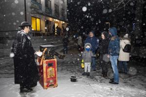009 Pozdrav zimi inpraznik luci Foto atelje Postojna